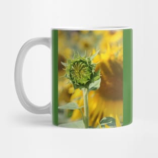 The Blooming of a Flower in the Sun Mug